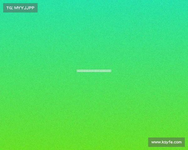 大型综合性赛事申办工作规范指南与全面流程指引